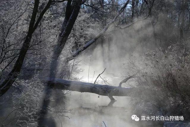 老婆说她第一次，为什么没有血呢？