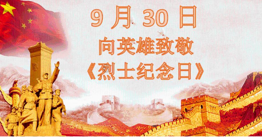 3D双翼飞行
