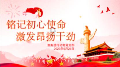 观察者