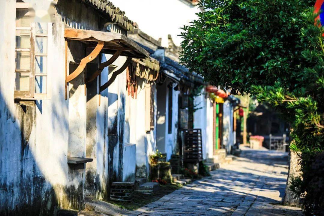 两会青年说 | 牢记青春使命 勇担时代重任