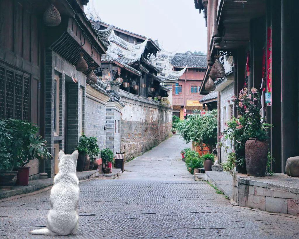 春雨直播app